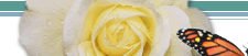 Butterflies and Roses; Providing Live Butterflies for Release in Canada