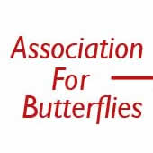 Butterfly release, wedding butterflies, butterfly releases, purchase live butterflies, butterfly favors and butterfly wedding providers. Live butterflies and live butterfly releases for wedding events. Release live butterflies for any occasion. Your butterfly release specialists. We provide live monarch butterflies, wedding butterflies, butterfly favors, weddings favors, monarch butterflies for release, monarch butterflies for wedding releases and more. By www.mrbutterflies.com