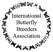 International Butterfly Breeders Association Logo_ IBBA